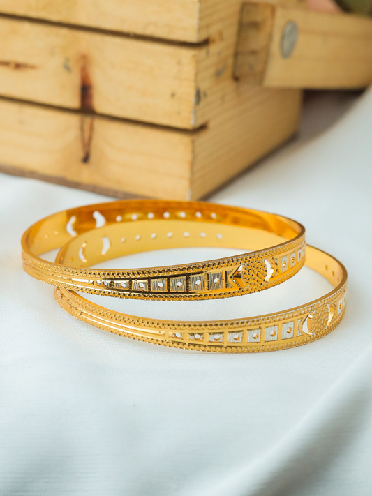 Riya Bangle ( Set of 2 )