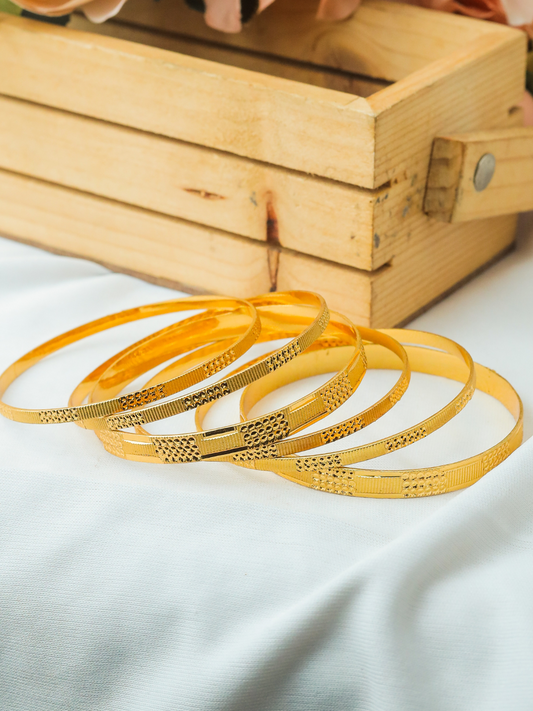 Saloni Bangle ( Set of 6 )