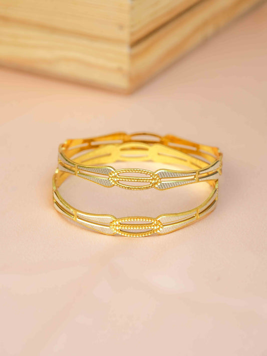 Nehal Bangle (Set Of 2 )