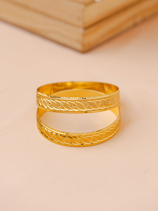 Aradhna  Bangle.  ( Set of 2 )